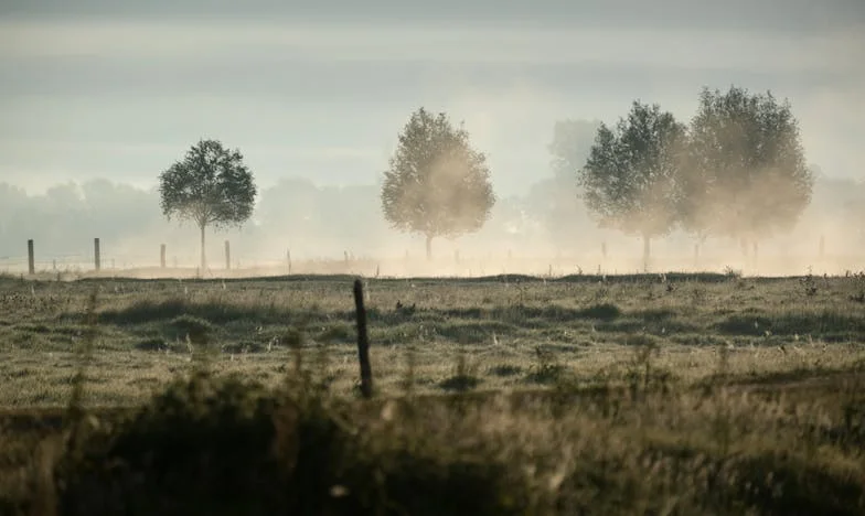 Pomoc! Můj syn s manželkou se ke mně nastěhovali a já teď chodím po špičkách ve vlastním bytě