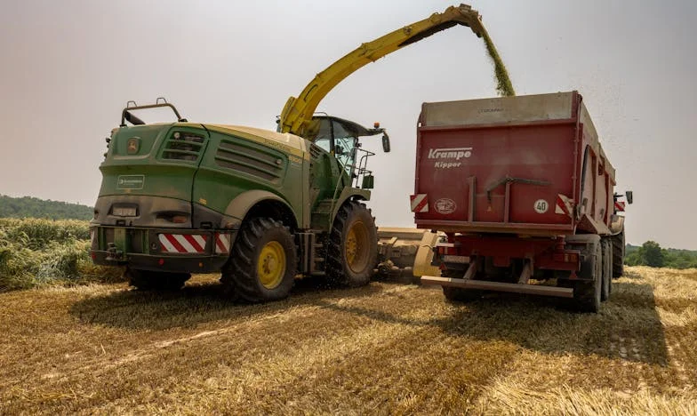 Pozvánka, která nikdy nepřišla: Příběh nevlastní matky
