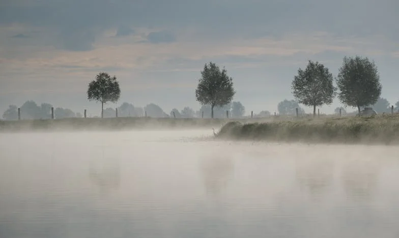 Proč už babička nechodí? Příběh o tichu, které bolí