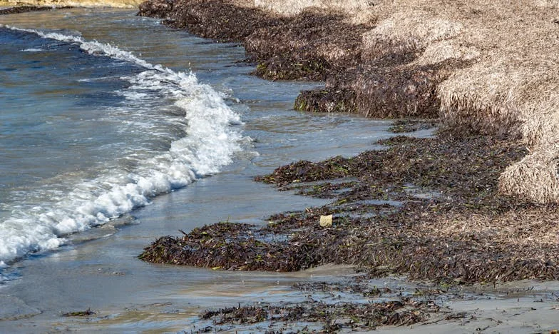 Slíbený dar, zlomené srdce: Příběh jedné svatby a ztracené důvěry