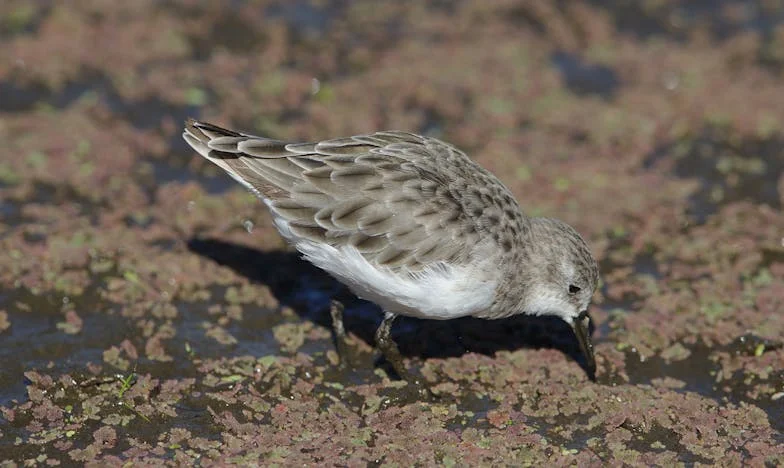 Snídaně, která změnila všechno: Když tchyně řekla, že už nikdy nepřijde
