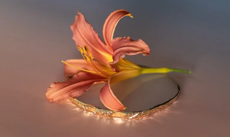 Stydím se za tebe, mami: Příběh o rozdílných možnostech a nepochopení