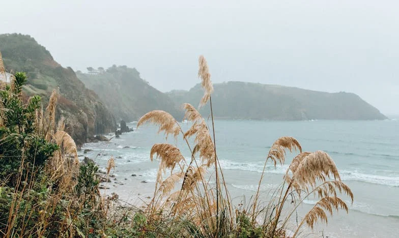 Davidova závěť: Zrada, nebo nedorozumění?