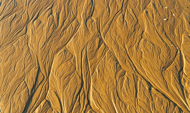 Den, kdy se Adam vrátil jiný: Tajemství, které nás rozdělilo