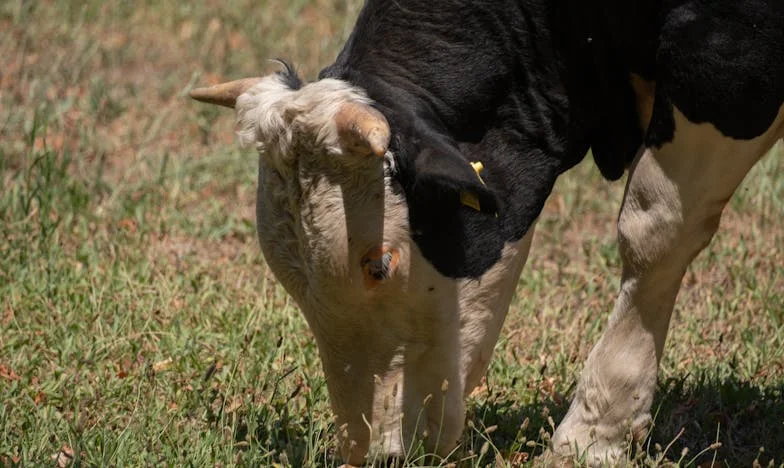 Dům, který nás rozdělil: Příběh jedné matky