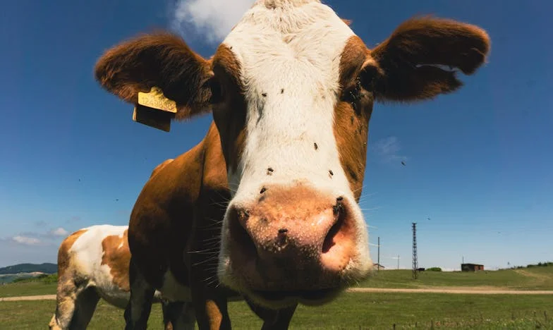 Dvě garsonky místo společného domova: Když rozhodnutí bolí