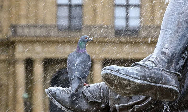 „Halino, děláš nám ostudu!“: Příběh lásky po šedesátce, která rozděluje rodinu