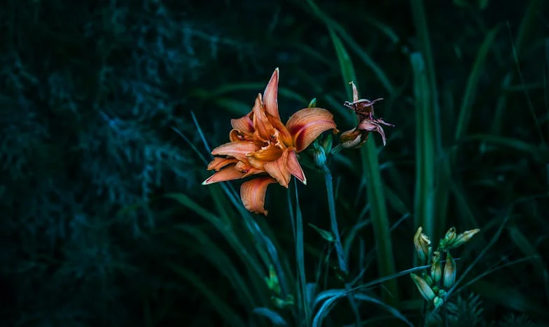 Hypotéka na cizí štěstí: Když syn žádá víc, než můžete dát