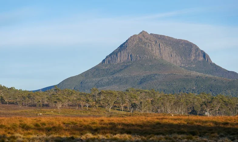 „Jedno vnouče mi stačí!“: Příběh o tchyni, která rozhoduje za druhé