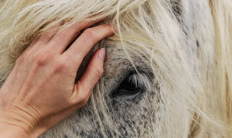 Když křik roztrhne ticho: Pravda, která bolí