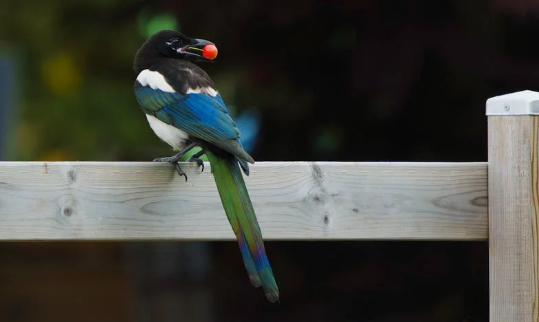 Když můj zeť změnil celý den: Příběh jedné odvahy a rodinných vztahů