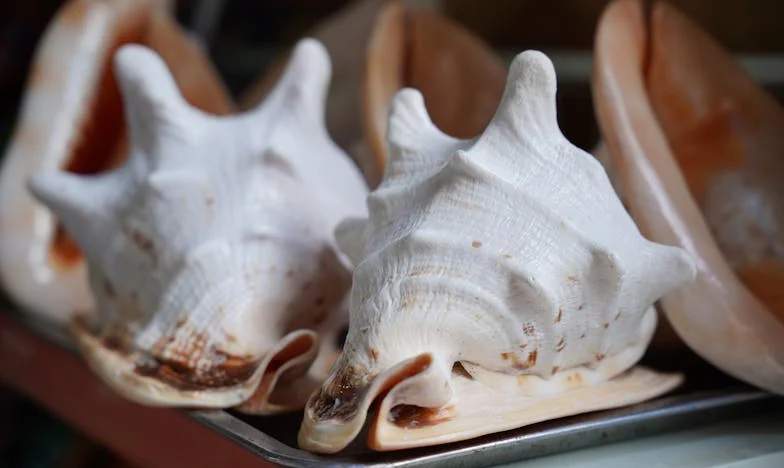 Když rodina bolí: Příběh matky, která ztratila syna kvůli nepochopení