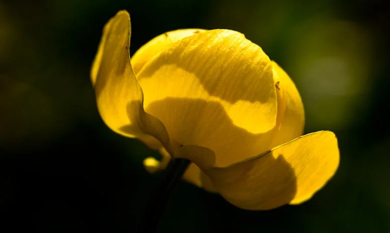 Když se rodina rozpadá: Příběh Anny, která musela znovu najít cestu ke své dceři