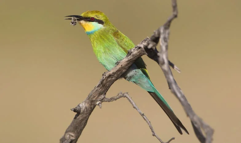 Máma dala přednost sestře: Jak jsem přišla o dárky pro své děti i o důvěru v rodinu