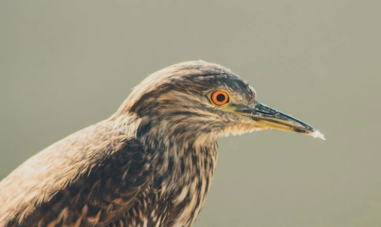 Mezi dvěma ohni: Jak jsem hledal klid v rodinné bouři