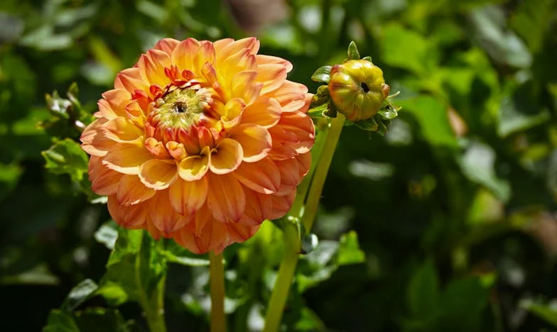 Místo aby se postaral o naše dítě, obrátil se na svou matku: Příběh o zklamání a hledání vlastní hodnoty