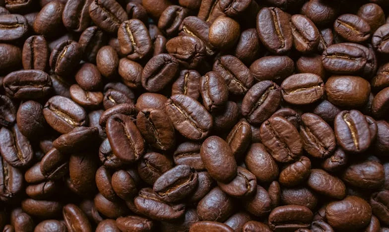 Mlčení mezi námi: Příběh matky, která ztratila dceru v tichu