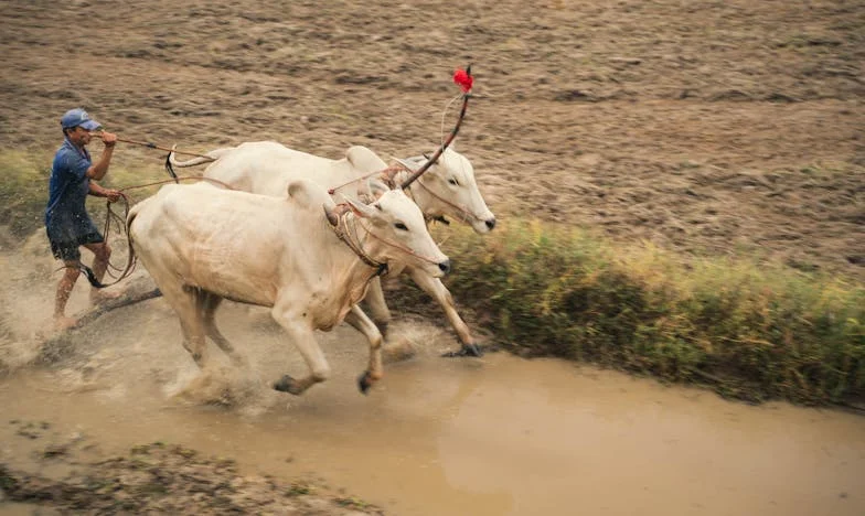 Můj syn a jeho žena se nastěhovali vedle nás. Místo rodinného štěstí přišla bouře, kterou jsem nečekala.