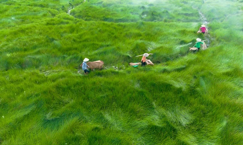 Můj syn mě obvinil, že jsem mu zničila rodinu: Stačilo jen říct snaše, ať umyje nádobí