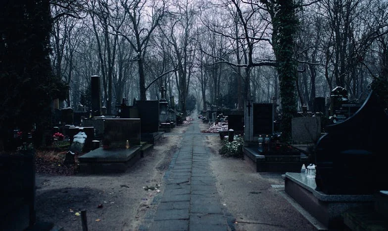 Nikdy mi nebudeš diktovat, jak mám žít, řekla mi snacha po smrti mého syna