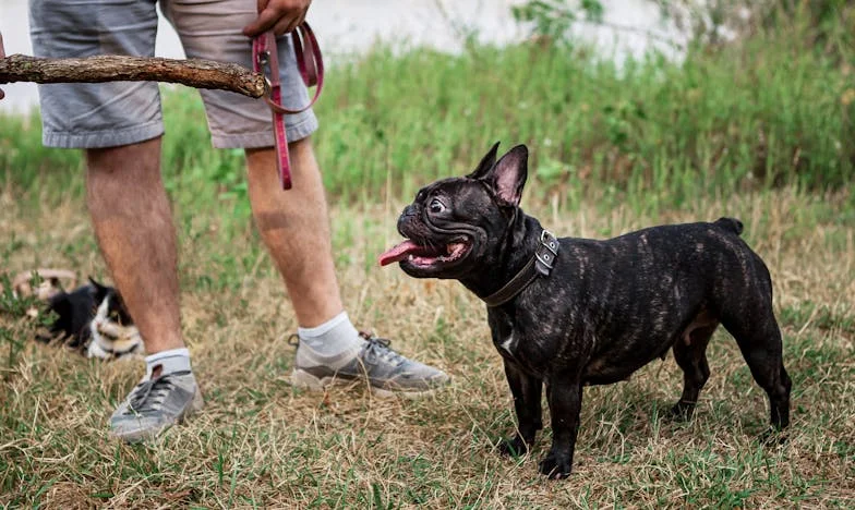 Od „šedé myšky“ k zářící hvězdě: Proměna Kláry Novotné
