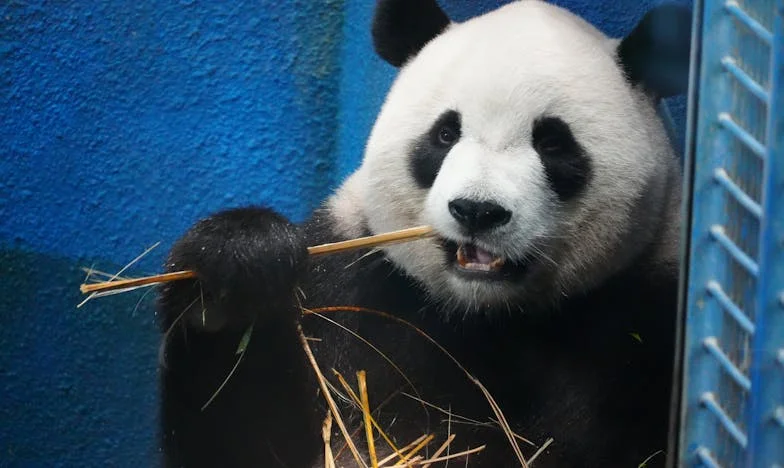Odpustit, nebo nenávidět? Příběh otce, který přišel o dceru