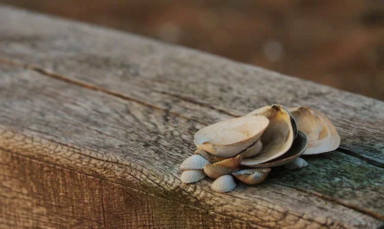 Pomoc! Můj přítel mě nechce vzít, jeho máma mu přitakává a já čekám dítě