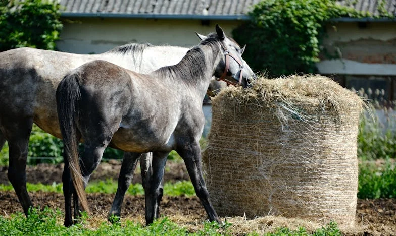 Pravda o odchodu mého otce: Byla to vina mé matky