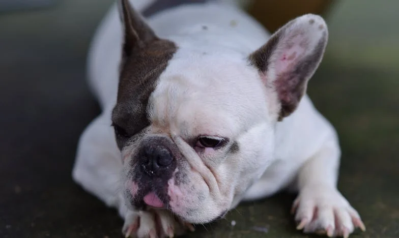 Přišel domů a řekl: „Chci se rozvést.“ V tu chvíli jsem si vzpomněla na slova své maminky