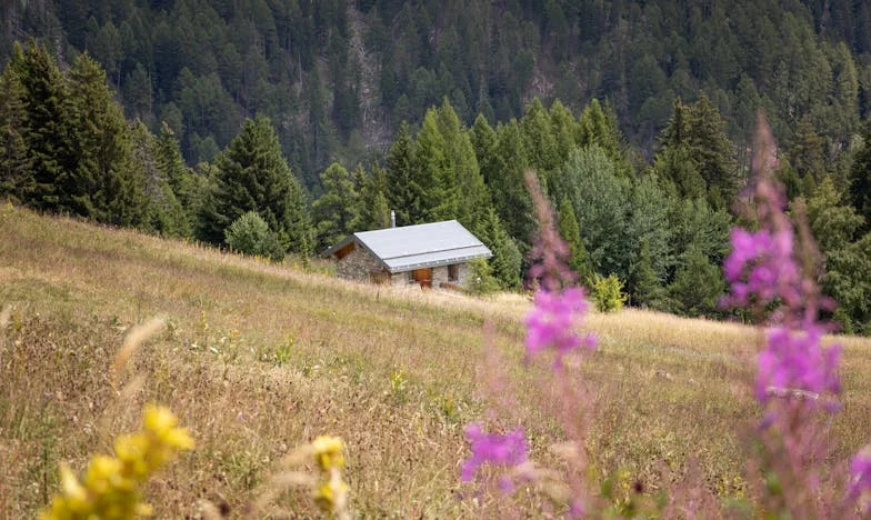 Prodám byt a jdu do domova důchodců. Dcera ode mě nic nedostane – je to správné?