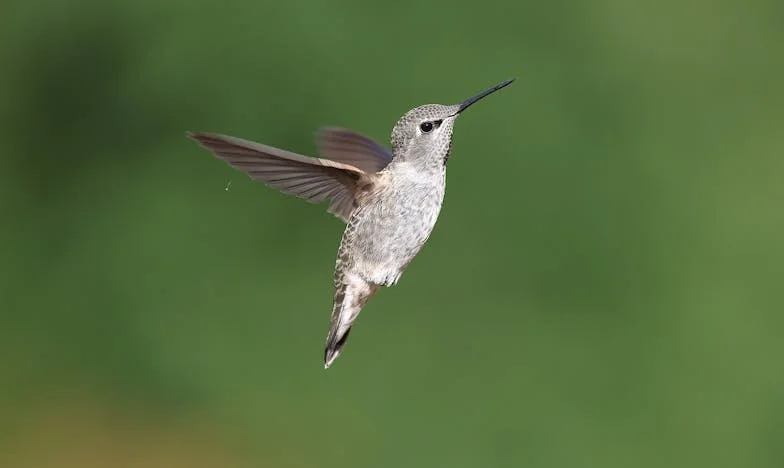 Roky sousedského pouta: Od cizinců k rodině