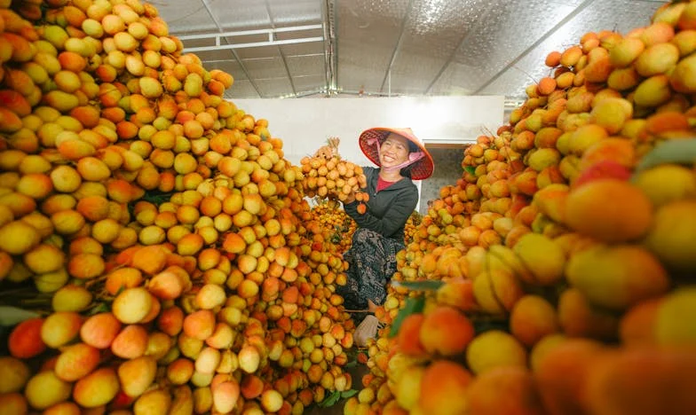 Švagrová mě viní z hladu své dcery: Když rodina praská ve švech