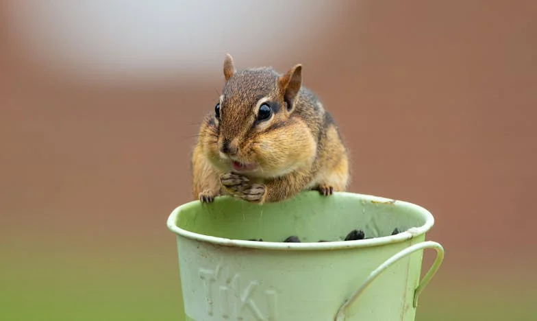 Teď mi je 75 a jsem sama: Moje dcera má svůj život a na mě už nemá čas