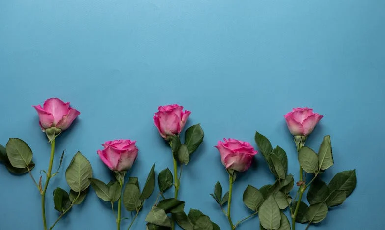 Tři měsíce ticha: Proč jsem přestala mluvit s mámou a nevím, jestli to někdy změním