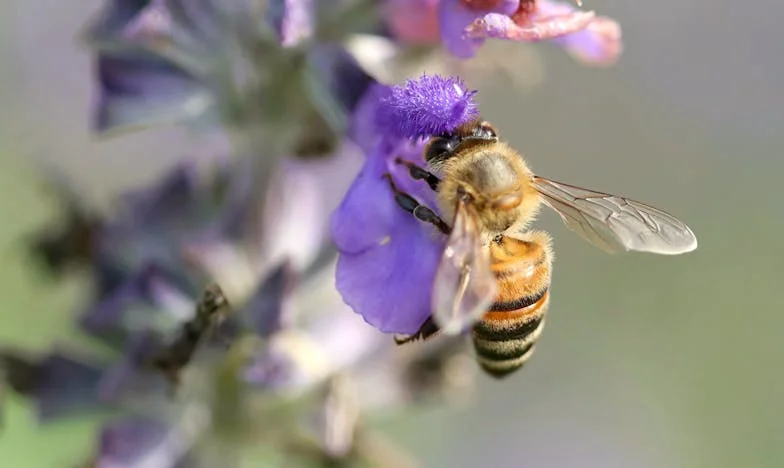 Tři otázky na cestě ztraceného domova: Příběh Jany z Vysočiny