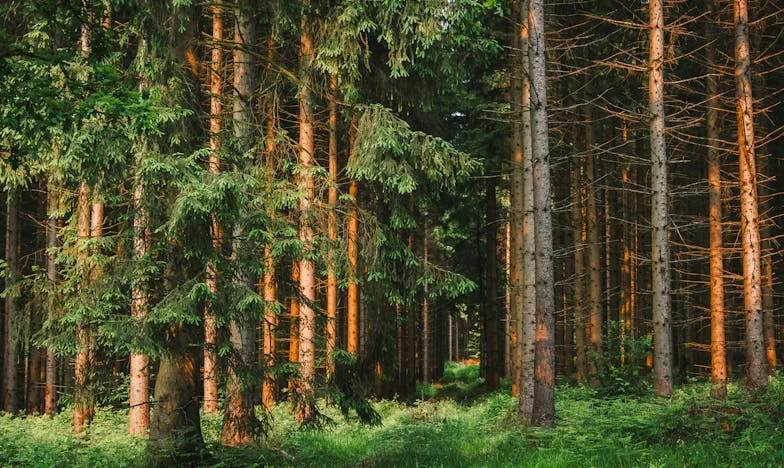 Tři síta pravdy: Příběh o slovech, která bolí