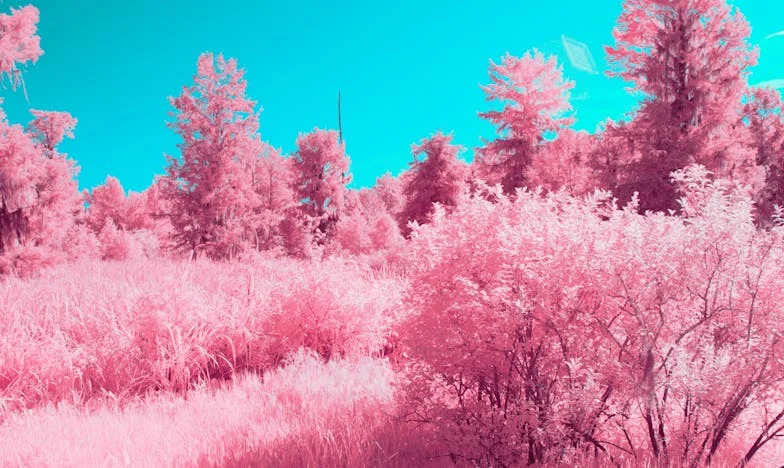 Zrada v rodině: Jak mi máma ukradla dědictví po tátovi