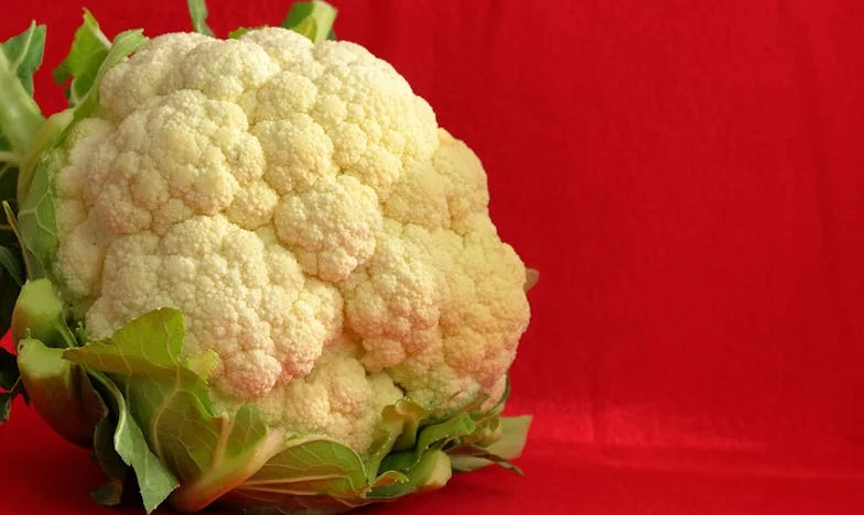 Zůstávám v práci: Příběh útěku před domovem, kde chybí úcta