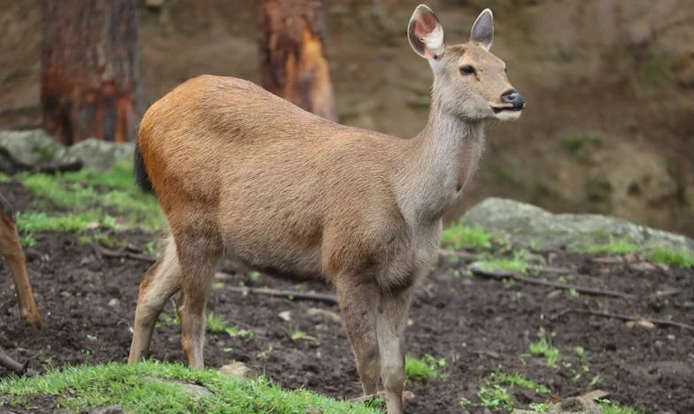 Dárek, který roztrhl naši rodinu: Jak jsem přišla o všechno kvůli dobrému úmyslu