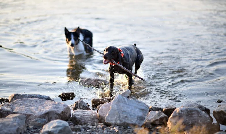 Druhá mladost, kterou jsem nechtěla: Návrat dcery a vnučky pod jednu střechu
