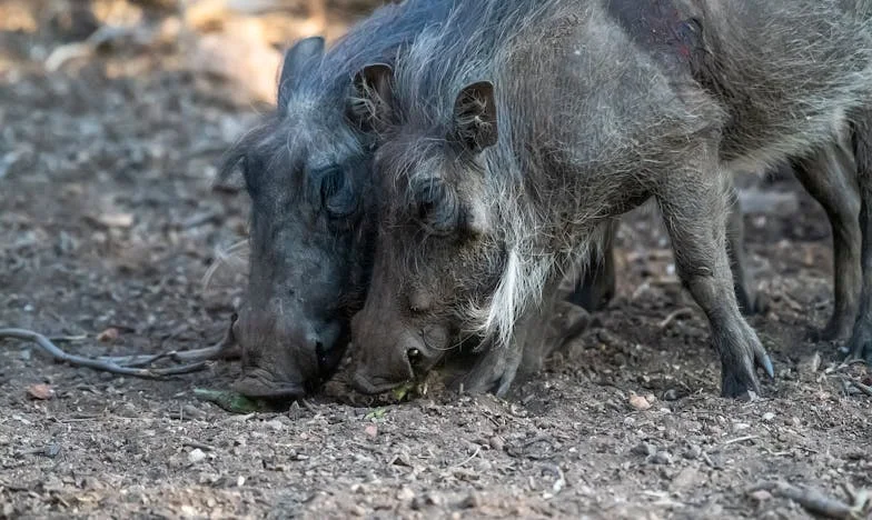 Dva roky ticha: Moje dcera se mnou nemluví