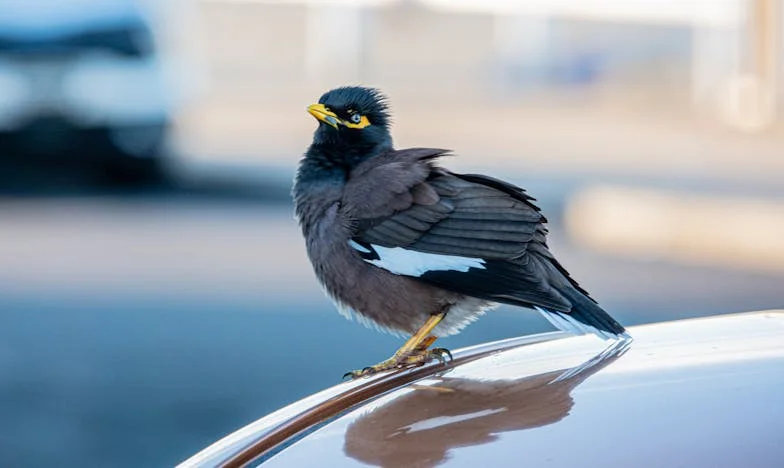 Dva roky ticha: Příběh matky, která ztratila svého syna