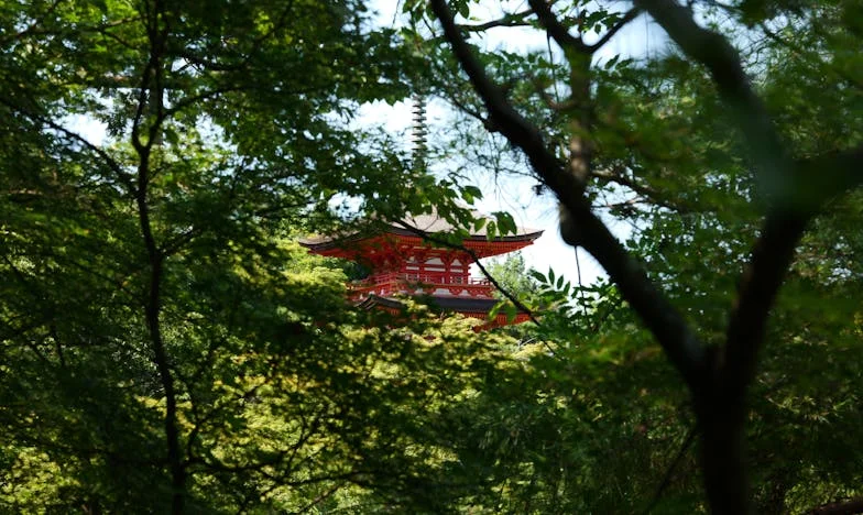 Když jsem zjistila, že po rozvodu nezůstalo vůbec nic – ani auto nebylo moje