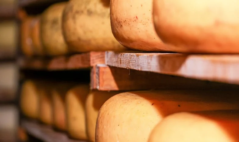 Když krev zradí: Příběh jedné naivity v české rodině