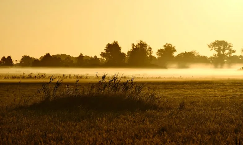 Když rovnost vstoupí do kuchyně: Příběh Marie a její rodiny