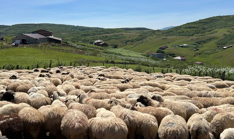 Když se modlitba stala mou jedinou nadějí: Příběh o víře v manželské krizi