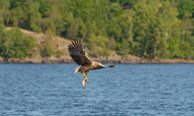 Léto, které změnilo všechno: Když vnouče nechce pomáhat na chalupě