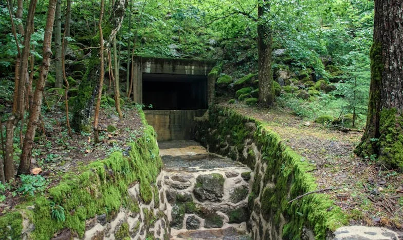 Mezi dvěma domovy: Jak jsem se naučila odpouštět své tchyni