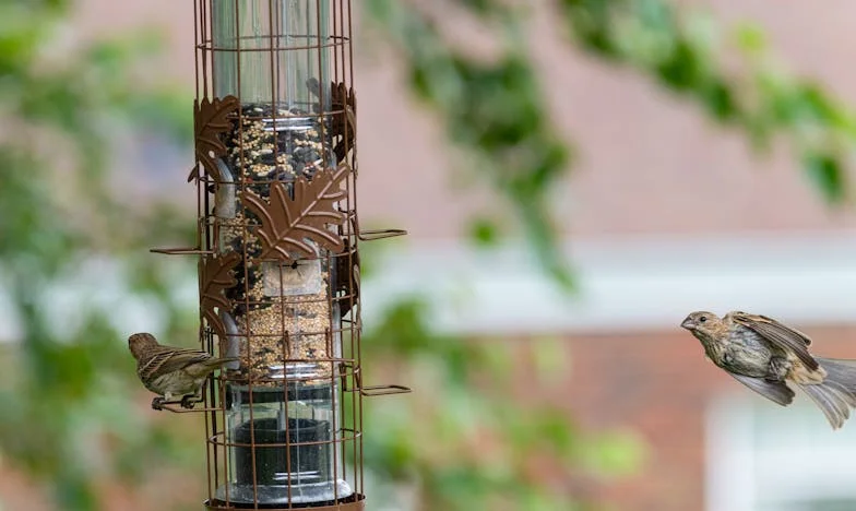 Může láska znovu postavit most důvěry? Příběh Jany a Tomáše po zradě