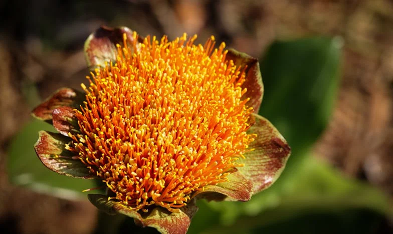 Ne takový princ, jakého jsem čekala – Příběh české dívky o zklamání a znovuzrození